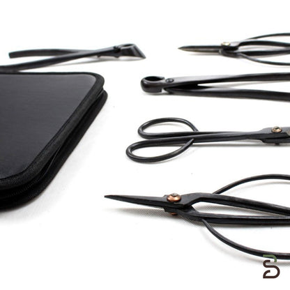 Kit Attrezzi per Bonsai con Astuccio