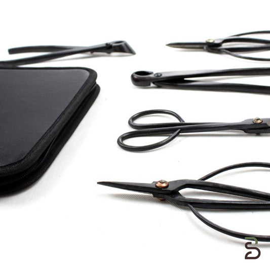 Kit Attrezzi per Bonsai con Astuccio